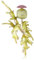 Grüne Primrose Brosche für Damen, Uni, Pflanzen-Anstecknadel, Büro, Party, Freund, tägliche Kleidung, Mantel-Zubehör, Metall Acryl, Zirkonia