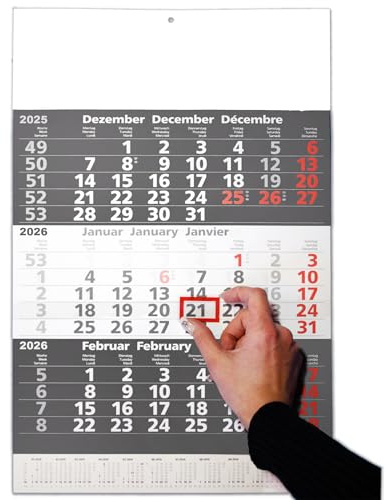 3-Monatskalender 2026, mit praktischem Datumsschieber, ca. 30 x 49 cm, 10 Stück im SPAR-SET