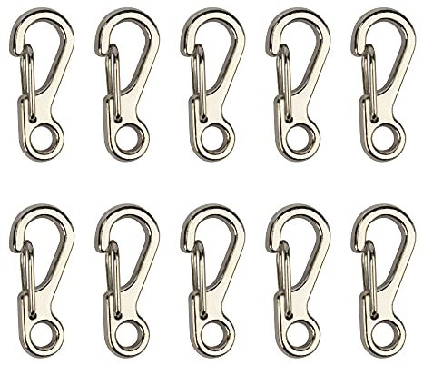Temlum Aluminium Karabinerhaken, 2,5 cm Mini Karabiner Set, Karabinerhaken mit Schnapp Verschluss, Schlüsselanhänger Haken für Camping, Reisen, Wandern (Silber, 10 Stück)