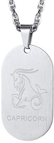 Richsteel Leo Horoscope Necklace Dog Tag Pendant Present For Girlfriend, Stainless Steel Twelve Constellations Jewellery Leo Chain Zodiac Sign Necklace For Women
