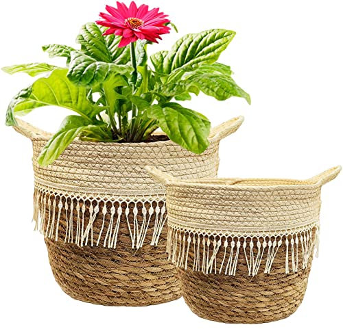 KMERCE 2 coprivaso vimini Grande, Cesto per piante da interno, Cesta Piante Seagrass, Vasi fiori giardino decorativi, cesto portaoggetti, Portavaso, Cestini di Piante Naturale,diametro 20cm e 25cm