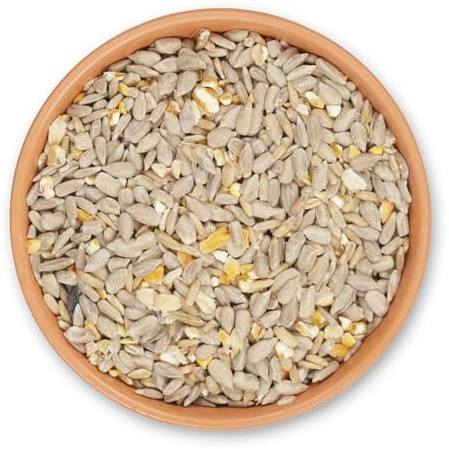 CJ Wildlife Streufutter für Wildvögel 2,5kg – Vogelfutter Wildvögel Ganzjährig – Green+ Pure Mischung ohne Pestizide – Wildvogelfutter ohne Schalen für Futtertisch und Boden