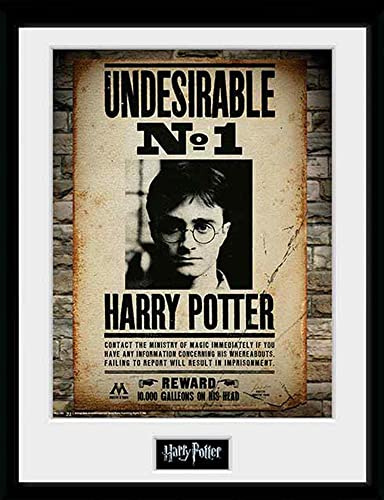 HARRY POTTER - Framed print Undesirable No 1 x2