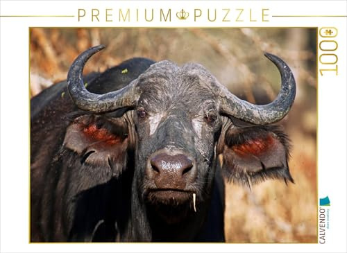 CALVENDO Puzzle Kaffernbüffel | 1000 Teile Lege-Größe 64 x 48 cm Foto-Puzzle für glückliche Stunden