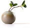Maya Star Japanische Stil Keramik Vasen Blumenarrangement Container Ikebana Crafts Ornaments A01