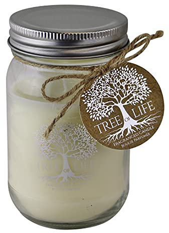 Something Different TL0052 Bougie en pot Arbre de vie Blanc