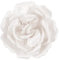 Mecool Broche de rosa grande para corte de pelo, pinza para el pelo para niñas, accesorios de fiesta de boda, color blanco