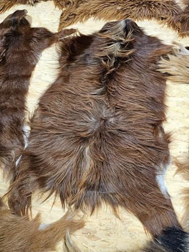 Provellus Ziegenfell Zickelfell kein Geruch | natürliche Farben | Fellteppich (Bräunlich, 80cm-100cm lang 1.Wahl)