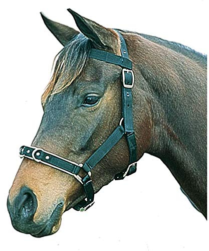 Kincade Nylon Padded Lunge Cavesson, Black, Full