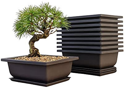 Bonsai-Trainingstöpfe, Feuchtigkeitsschalen – integriertes Netz, 15,2 cm große Pflanzgefäße + aus robustem, bruchsicherem Polyresin, 9er-Pack Topf-Set