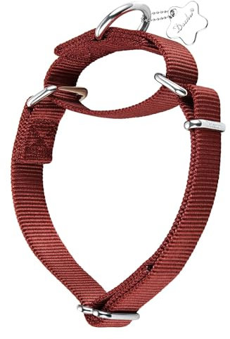 Dazzber Martingal Halsbänder für Hunde, Verstellbar Langlebig Kein Escape Stop Ziehen Hundehalsband Nylon für Große/Mittlere/Kleine Hunde (L(42cm-66cm), Ziegelrot)