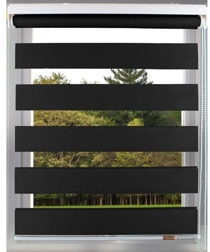 Day & Night Zebra/Vision Roller Blind Easy Fit Dual Layered Horizontal Window Shade Blinds (114cm(45) X 165cm (65), Black)
