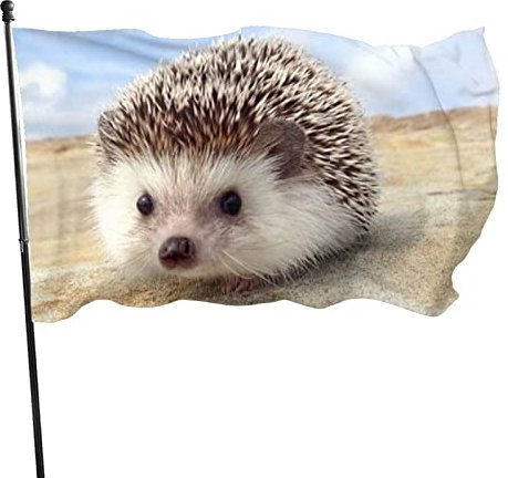 Fahnen 90X150cm Süßer Igel Flagge Premium Garten Fahnen Wetterfeste Hanging Flag Für Hof Party Drinnen