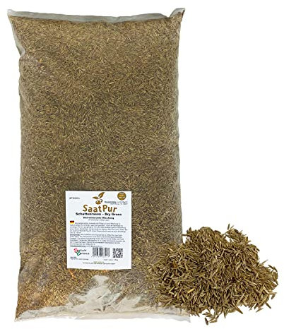 SaatPur® Rasensamen Schattenrasen Dürreresistent 2,5kg für ca. 75 m², Mehrjährige Rasemischung aus mehreren Rasenarten, meistens 4 bis 5, satt grün, schnellkeimend, hitzetolerant, Neusaat und Nachsaat