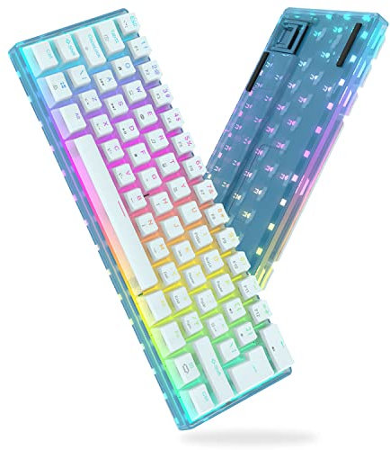MAGIC-REFINER MK21 60% mechanische Tastatur, Hot Swappable Outemu Red Switch, 19 RGB Hintergrundbeleuchtung, verkabelt, kompakte Gaming-Tastatur mit Pudding-Tastenkappen,