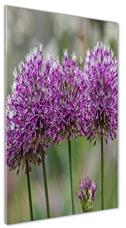 Tulup Glas-Bild Wandbild aus Glas - Wandkunst - Wandbild hinter gehärtetem Sicherheitsglas - Dekorative Wand für Küche & Wohnzimmer 70x140 - Blumen & Pflanzen - Knoblauch Blumen - Lila