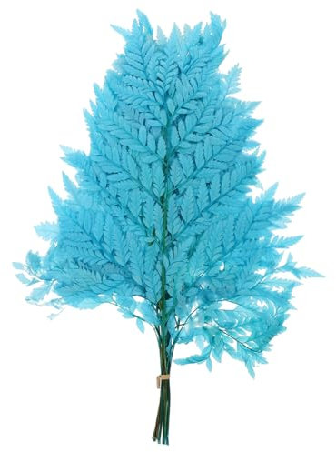Cabilock 10stücke Deko-Pflanzen Bund Mit Getrockneten Für Hochzeitsdekoration DIY Blumenarrangements Blau Als Vasenfüllung Oder Tischdeko