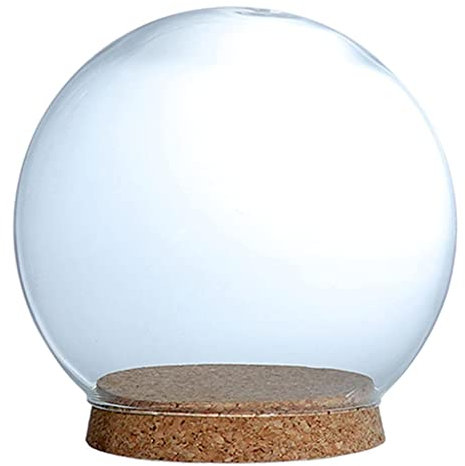 Cloche en Verre Transparent avec Socle en Bois Naturel pour Décoration Intérieure, 15cm