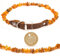 Amberta Bernstein Halsband für Hunde und Katzen | Bernsteinkette für Hunde | Halsband Hund: 50-55 cm