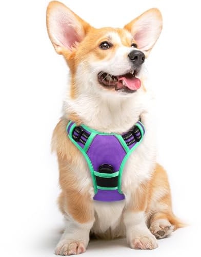 Eagloo Hundegeschirr Grosse Hunde, Anti Zug Hundegeschirr mit Reflexstreifen und Kontrolle, Verstellbar und Einstellbar Geschirr Hund Groß, Brustgeschirr für Labrador, Mintgrün & Lila, M
