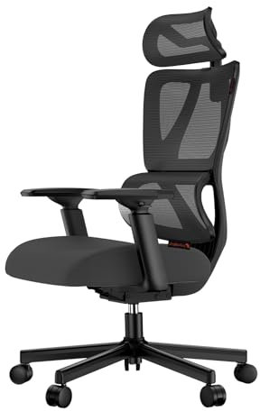 ProtoArc EC100 Ergonomic Office Chair - Computer Desk Chair with 10cm Thicker Spring Cushion, Adaptive Lumbar Support, Adjustable Armrest&Headrest Mesh Swivel Chair Gaming for Home Office, Dark Black
