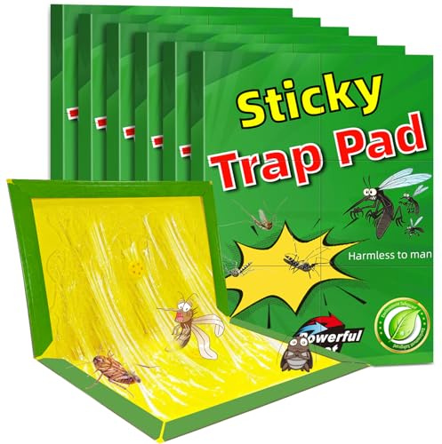 6 Pièces Piege a Souris, Piege a Rat, Anti Plaques Collantes Souris, Plaques de glu Anti, Puissant Mouse Trap Mulot Exterieur Efficace Interieur