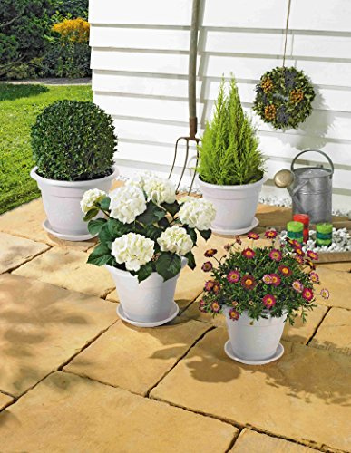 Alpfa Blumentopf - Set 8 TLG. weiß - Qaulität Made in Germany