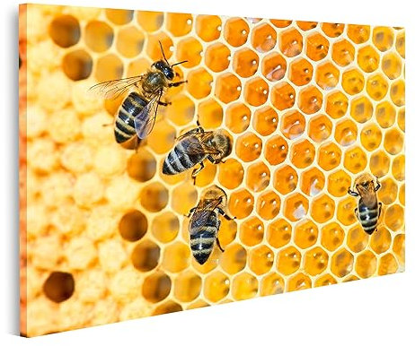 islandburner Bild auf Leinwand Bienen Honigwaben Honig Bienen Bilder Wandbilder Poster