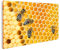 islandburner Bild auf Leinwand Bienen Honigwaben Honig Bienen Bilder Wandbilder Poster