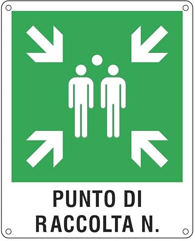 Cartello d'emergenza 40x50 cm Cartelli SegnalatoriPunto di raccolta