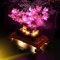 Vaodest LED Light for Lego Bonsai Tree 10281 Model,Design and Configuration Compatible with Model 10281 (LED Light Only, Not Building Block Kit) (Pink)
