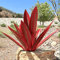 ILGUN Metall-Agave Pflanze - Große Tequila Rustikale Skulptur, Garten Kunst Statue Deko (A-3, L)