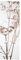 Bilderwelten Garderobe Blumen 105cm x 34cm Blumen Holzgarderobe Modern Garderobenhaken Garderobenpaneel Flurgarderobe Flur-Möbel Wandgarderobe Holz