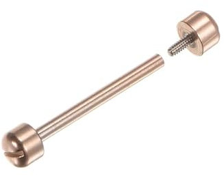 Vis de réparation de montre, tige de montre droite et élégante avec tête de vis arrondie pour l'entretien de la montre, rose gold, 16mm, Moderne