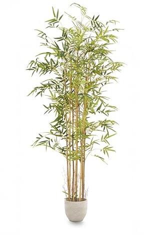 MAIA SHOP Bambú Artificial Savage 210 cm con Cañas Naturales – Árbol Decorativo Realista, Planta Artificial Grande para Interiores y Proyectos de Decoración