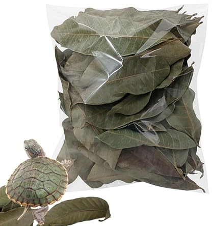 Longan Laubstreu – Natürlicher trockener Haustierbedarf, Aquarium, Longan-Blattstreu, für Frösche, Fische, Schlangen, Schildkröten, Eidechsen, Kleintiere, Zuhause, Innen- und Außenbereich