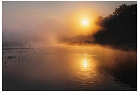 Bilderwelten Glasbild - Sonnenaufgang am See mit Rehen im Nebel - Quer 2:3, 80cm x 120cm