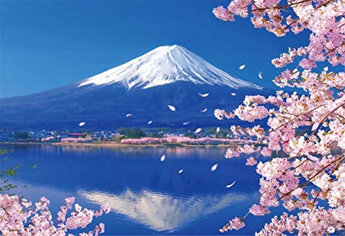 YEESAM ART DIY Ölgemälde Malen nach Zahlen Erwachsene Kinder, Mt. Fuji Japan Kirschblüten 16x20 Zoll Zahlenmalerei ab 5 Öl Wandkunst (Japan, mit Rahmen)