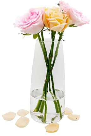 Florero de Cristal, Ins Moderno Jarrón de Cristal Transparente, 22 CM Alto Jarrón de Cristal para Decoración de Mesa, Jarrones Decorativos para Hierba de Pampa, Tulipanes, Orquídeas (Transparente)