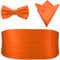 PenSee Vorgebundene Fliege für Herren, Einstecktuch und Kummerbund, 044-Orange, Medium