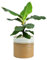 Ivyline Blumentopf Nikkie Ø 15 cm Übertopf für Zimmerpflanzen Keramik Urban Jungle