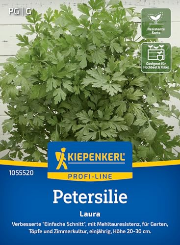 Kiepenkerl Petersiliensamen Laura 1055520, Kräutersaat | Verbesserte Einfache Schnitt mit Mehltauresistenz, aromatisch, für Hochbeet, Freiland & Topf