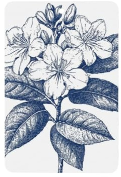 Rhododendron Oldendron Auto-Lufterfrischer, 4 Stück, hängende Duftkarten, Duftkarten für Auto-Aromatherapie-Tabletten