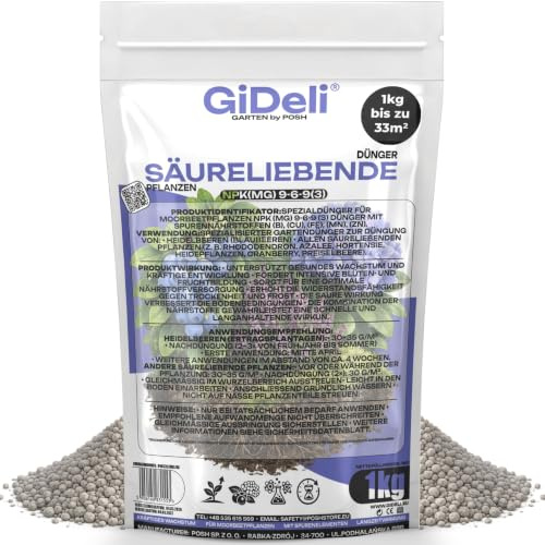 GiDeli Heidelbeerdünger & Hortensiendünger 1 kg - Granulat Langzeit | für Rhododendren Azaleen und Blaubeeren, mit Eisen und Magnesium, chloridarm, handliche Dosierung, säuert den Boden an