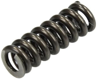 Bosch F00RJ00236 Valve Spring