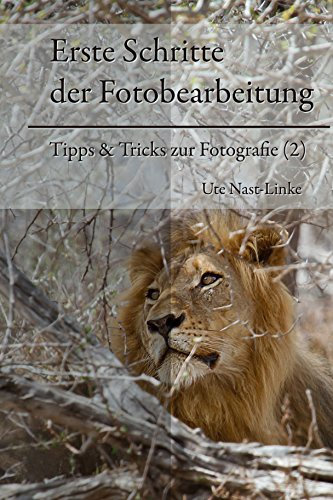 Erste Schritte der Fotobearbeitung: Der Workflow auf Basis von Adobe Photoshop CS6 (Tipps & Tricks zur Fotografie 2)