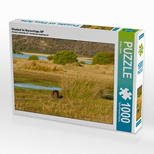 CALVENDO Puzzle Wombat im Narawntapu NP 1000 Teile Lege-Größe 64 x 48 cm Foto-Puzzle Bild von Sabine Smith