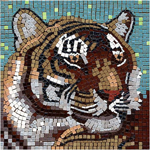 ALEA Mosaic Mosaik bastelset, DIY 20x20cm, Tigris