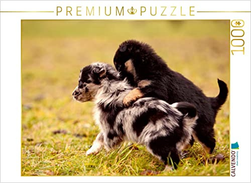 CALVENDO Puzzle Schnapp Dich | 1000 Teile Lege-Größe 64 x 48 cm Foto-Puzzle für glückliche Stunden