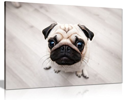 Cute Pug Kitchen Canvas Wall Art Picture Print (24x16)